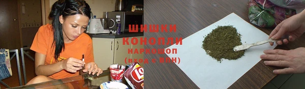 мдпв Бронницы