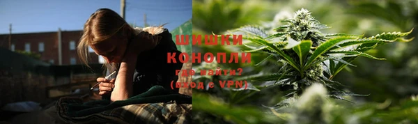 мдпв Бронницы