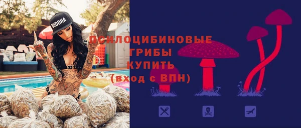 мдпв Бронницы