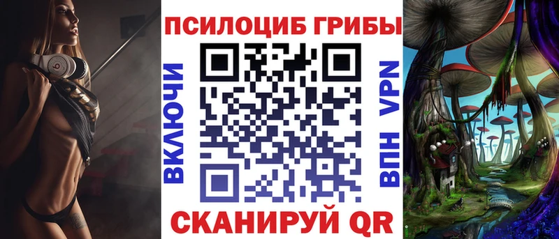 магазин продажи наркотиков  Чита  Псилоцибиновые грибы ЛСД 